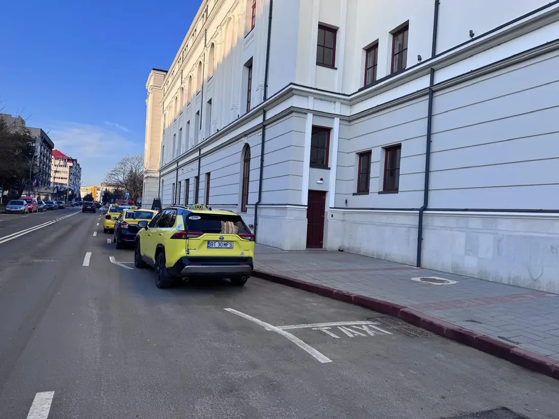 Taxi Milu în municipiu